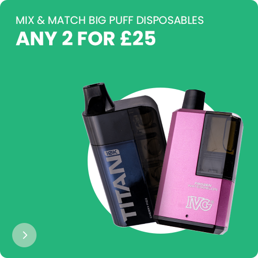 2 for £25 Big Puff Disposables